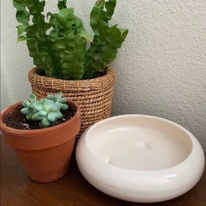 Vintage ceramic succulent planter pot